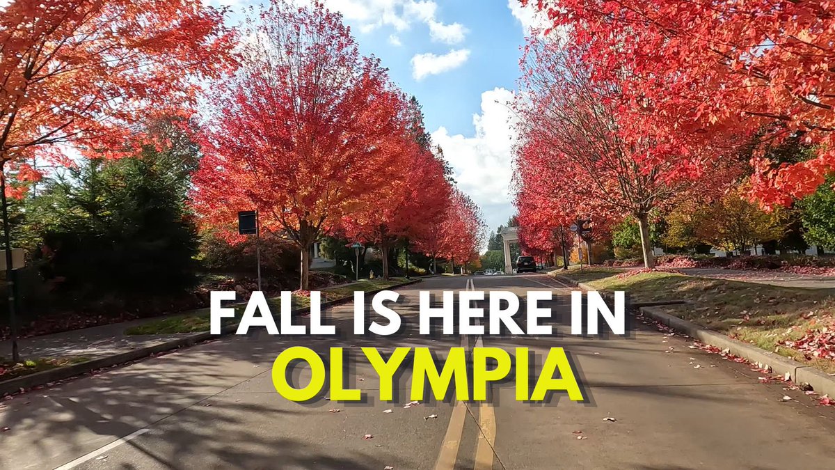 My360Agent's tweet photo. Fall Is Here in Olympia!  Check Out our Fall Colors! 🍁🍁🍁

https://t.co/5KuSHVNCGT https://t.co/5IVYTGCCfz