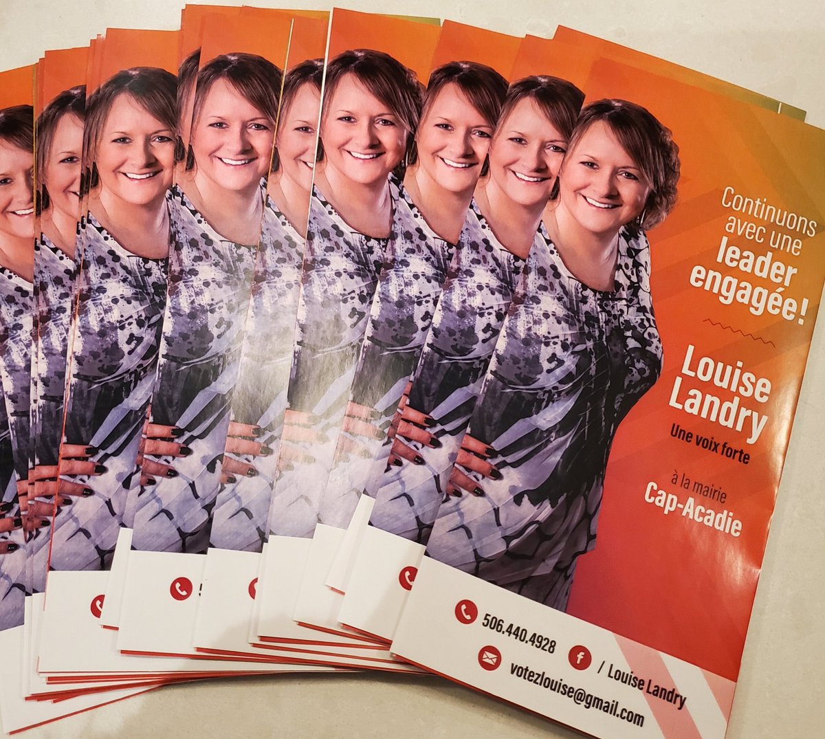 Louise Landry pour un leadership engagé et une voix forte !
Louise Landry for a committed leader and a strong voice !