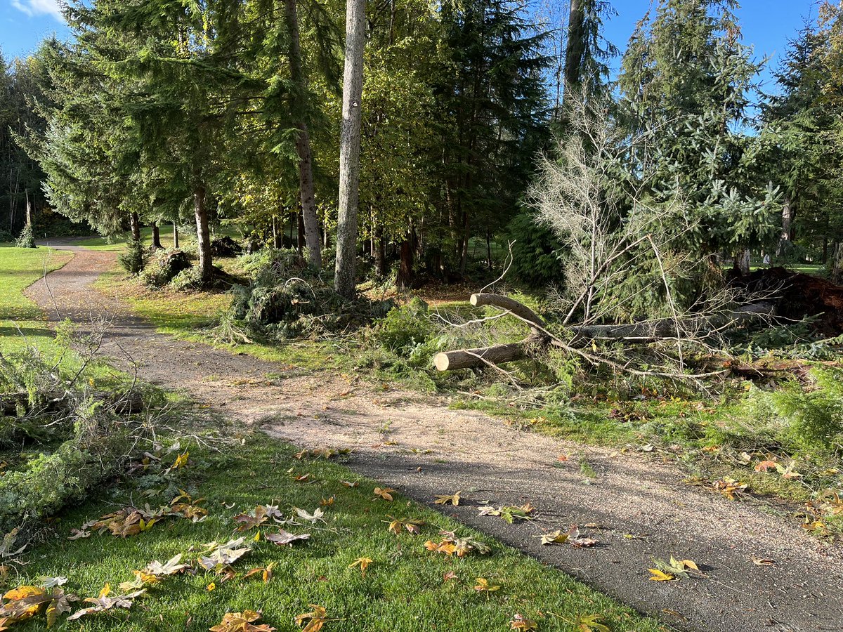 Robert Yates tweet media