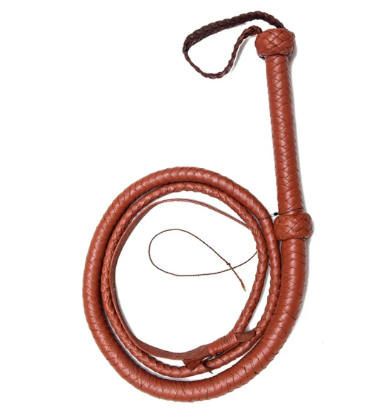 HiAmClover's tweet photo. yall i need help choosing a whip for my franziska von karma https://t.co/cNqH2adZZ3