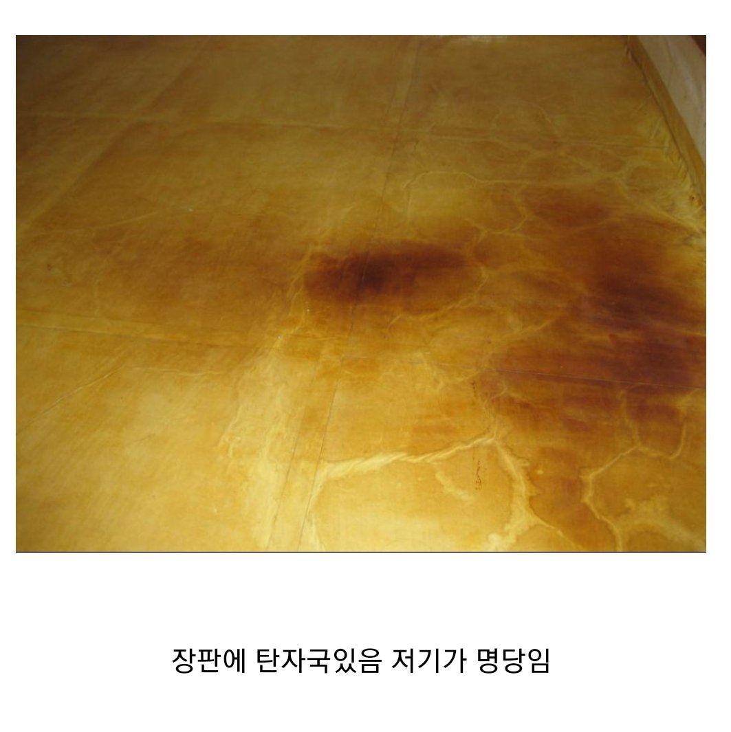 티벳여우 on Twitter