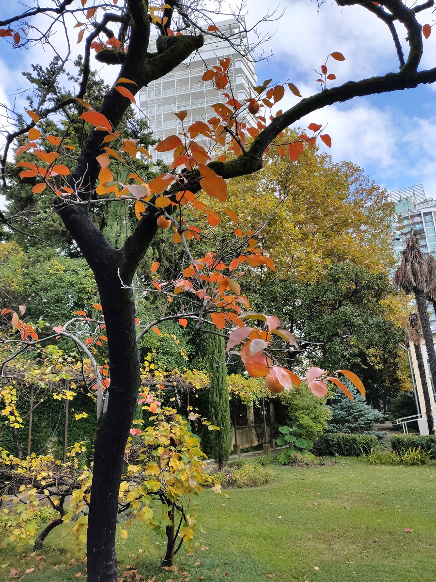 Константин Пипекин (@pipekink) on Twitter photo 