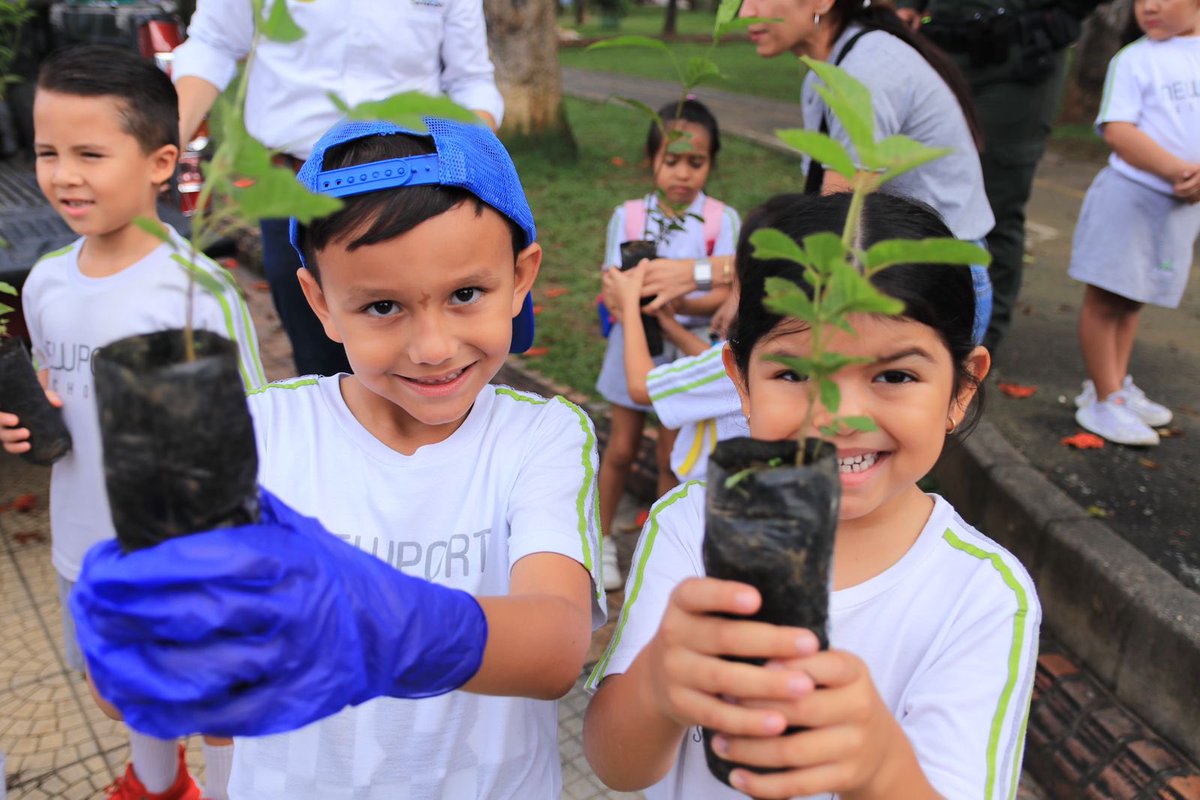 GobdeSantander's tweet photo. ¡En #Santander aplaudimos las buenas acciones por nuestro ecosistema!🙌🏼🌳 Desde la Secretaría Ambiental participamos de una jornada educativa del Newport School donando 250 plantas como guayacanes y búcaros para que los más pequeños siembren vida y aprendan a cuidar su entorno. https://t.co/hPJ8G28VjG