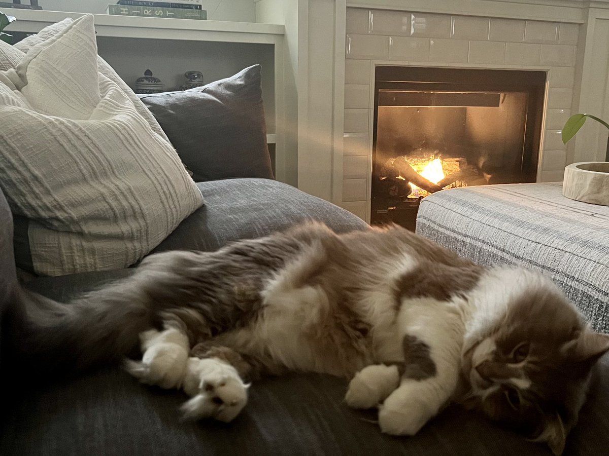 Skye C. Mayo, MD, MPH tweet media