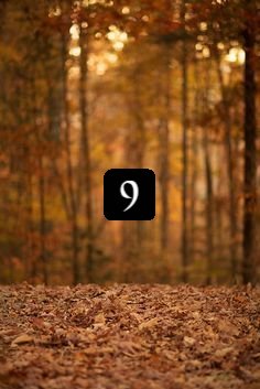 Slam_Words's tweet photo. #SlamWords #64thEdition #encore - round 9
Your prompt this round: mirth
#GuestHost - @wilder_rose_
Write a Scene or Dialogue // *all styles-genres welcome*
#LetsWrite https://t.co/bTCc7WkGuT