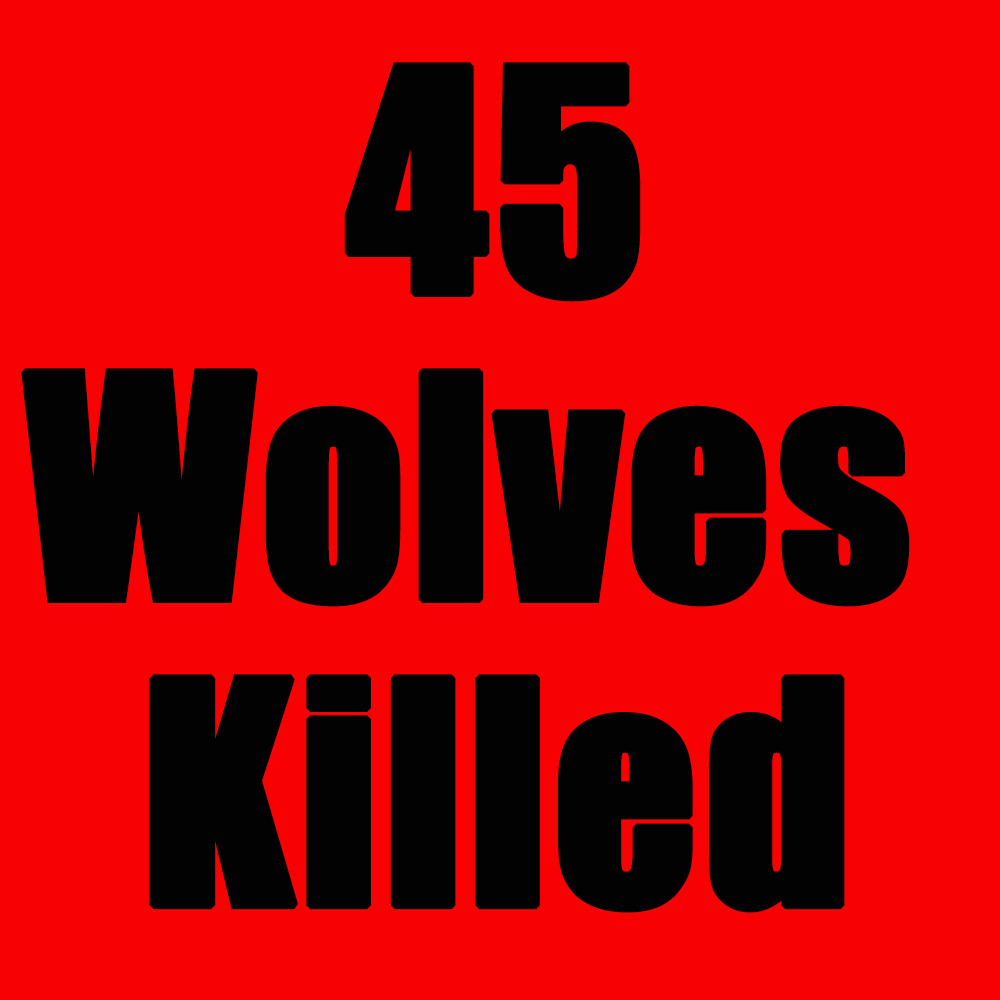 WolvesOfRockies's tweet photo. One more Montana wolf killed yesterday. As of November 5, 2022, Montana has killed 45 wolves. This doesn't include poaching and other human-caused mortality. Join the fight to protect our wolves and wildlife. info@wolvesoftherockies.org #StopTheSlaughter #wolvesoftherockies https://t.co/JSFdzpOaHJ