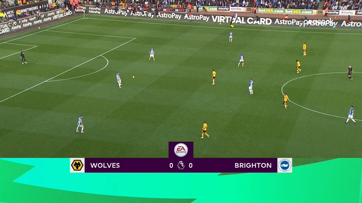 Wolves vs Brighton