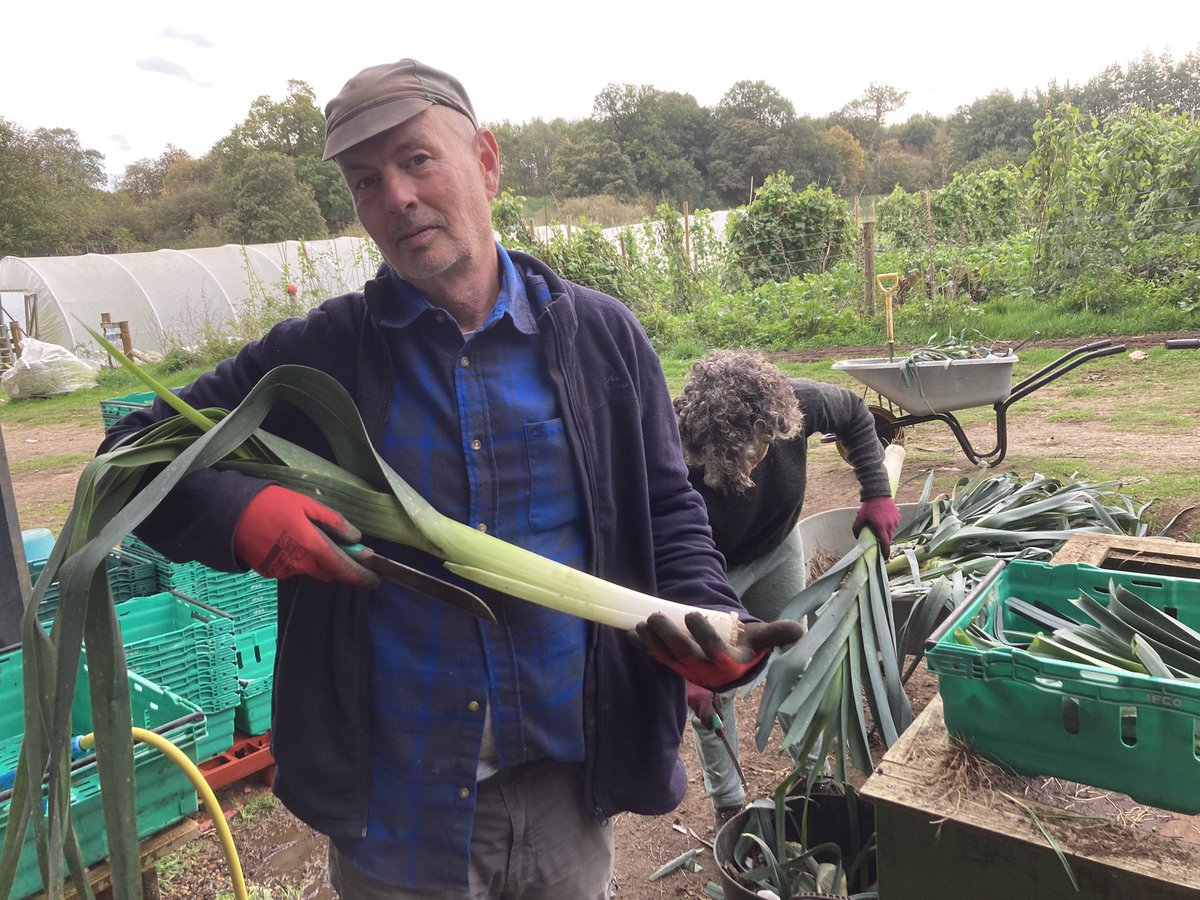 Our market garden is your market garden.