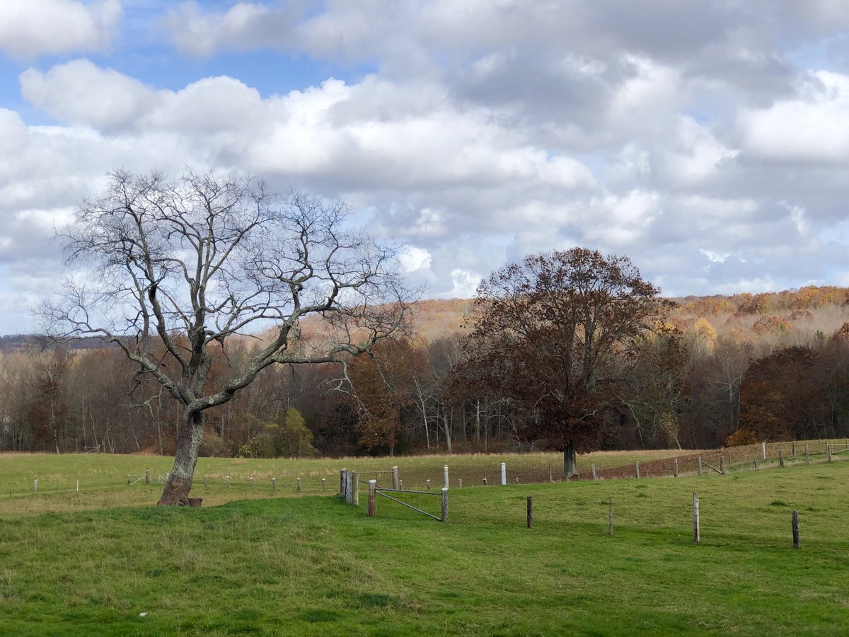 petermarteka's tweet photo. Oh, hey stick season. #Middletown #lookslikeit #doesntfeellikeit https://t.co/BkUsk1tDiy