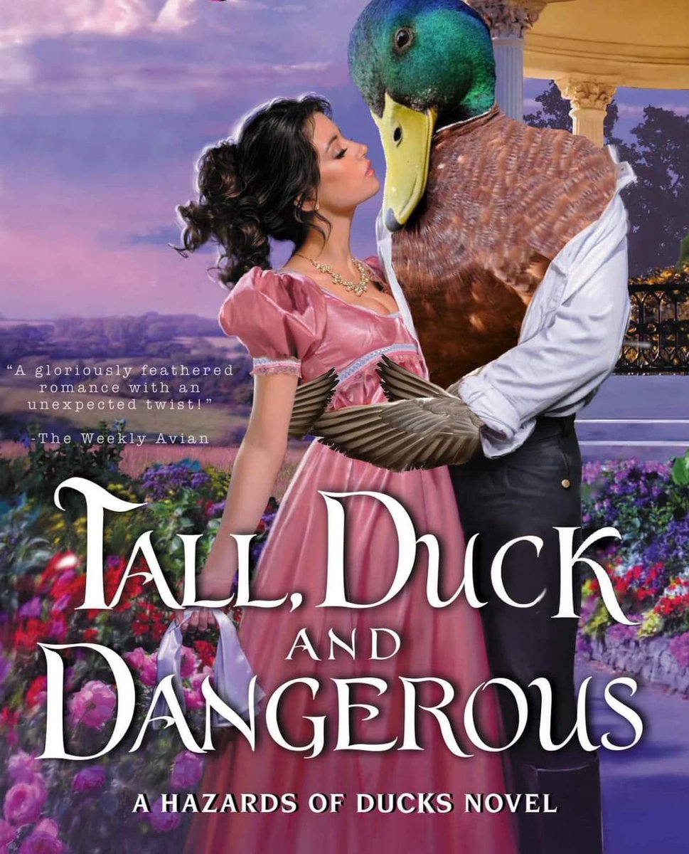 JQuack86's tweet photo. #quacksoflife #dailyduck 😂🦆🤣🦆 https://t.co/i7aih5Ss0z