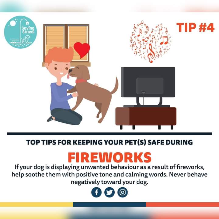 SavingStraysUK's tweet photo. Above all be kind to any sentient being no matter how many legs they have who may be fearful or scared of fireworks. Compassion and understanding will heal most situations 🙏💜 🐾
#staysafe #besafe #compassion #fireworks #considerothers #takecare #bekind #compassion https://t.co/YLV5Y7hjYU