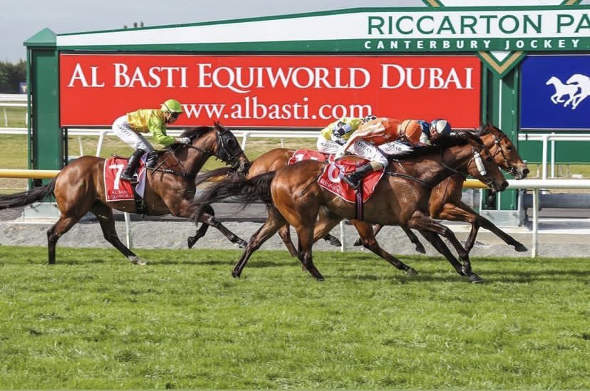 Candice Gollan tweet media