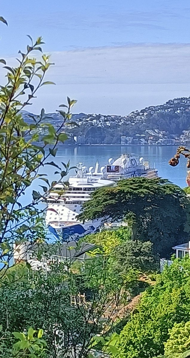 funks80's tweet photo. After two and a half years, it's strange seeing cruise ships outside the window again https://t.co/sonNA1venE
