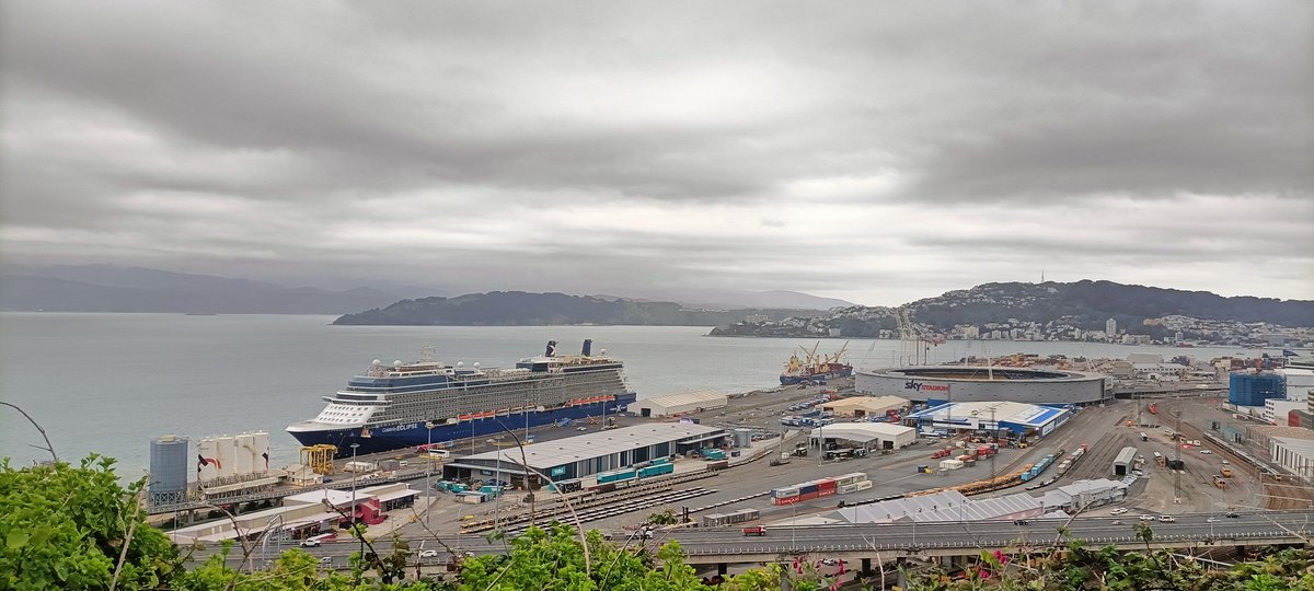 funks80's tweet photo. After two and a half years, it's strange seeing cruise ships outside the window again https://t.co/sonNA1venE