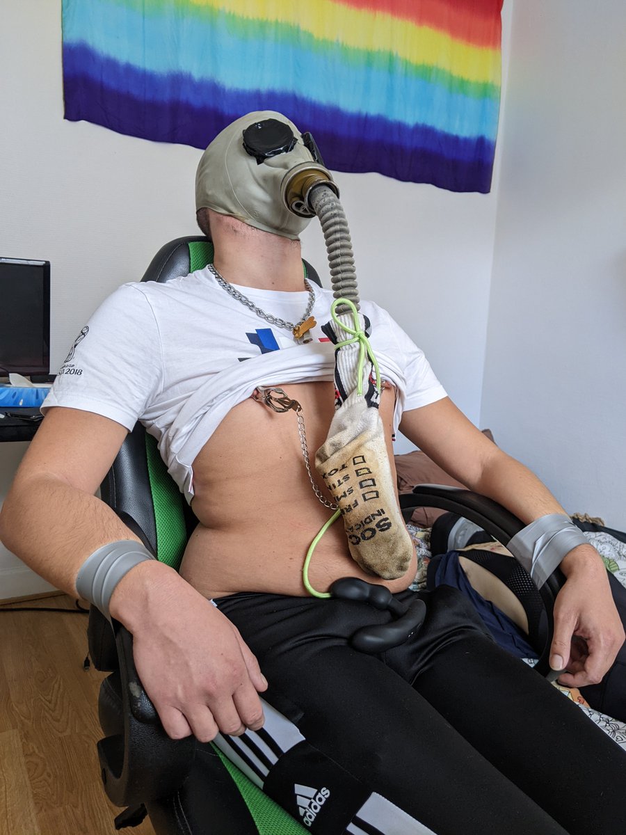 Yogo The Kinkster 🔜 where to? 🤔 tweet media