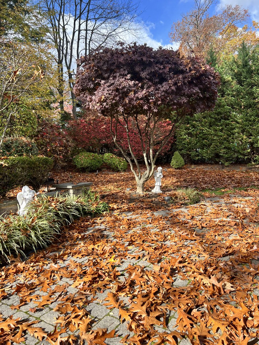 Richard Dragotta tweet media