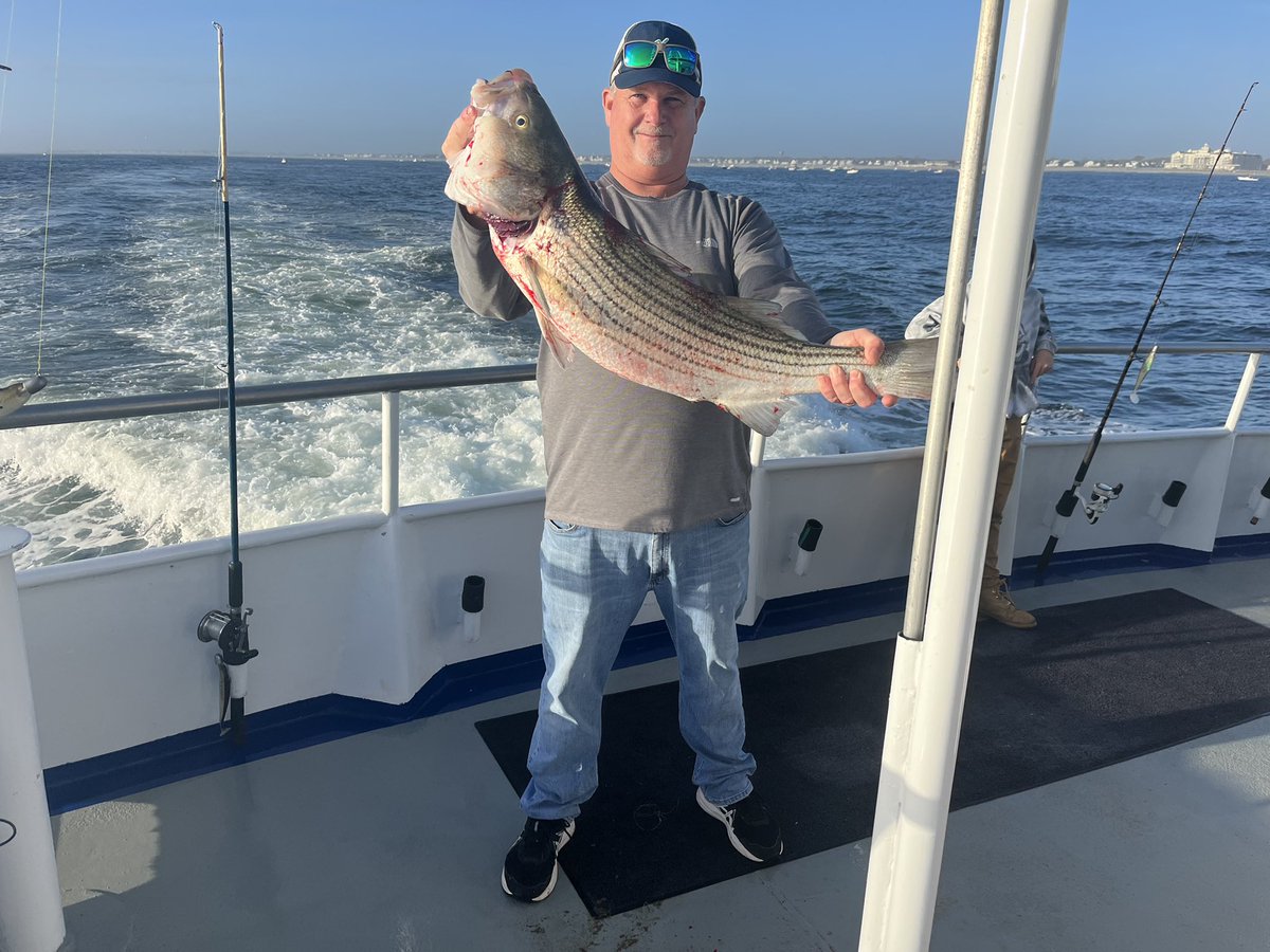 tom elder tweet media