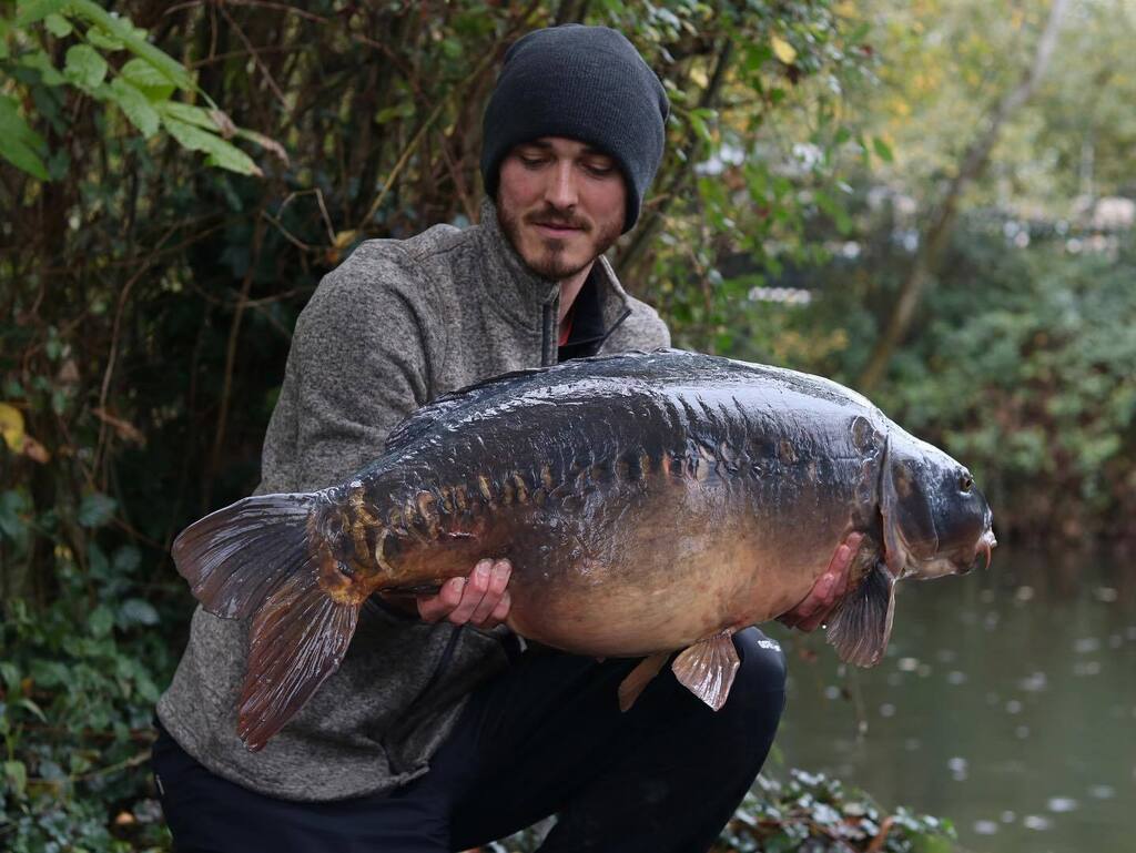 Chris_Meaton's tweet photo. Gotta love the autumn! ‘Clover’ the Queen of the Cray at 41.08. Cheers @simonfowler2836 for the epic pics 📸  #carpfishing #rkleisure #crayfishpool #baitworks #carpywriter https://t.co/qieATpSH46 https://t.co/ZxgT11C3uo