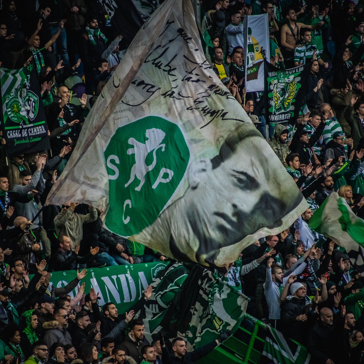 A demissão é a solução, o Sporting é nosso.