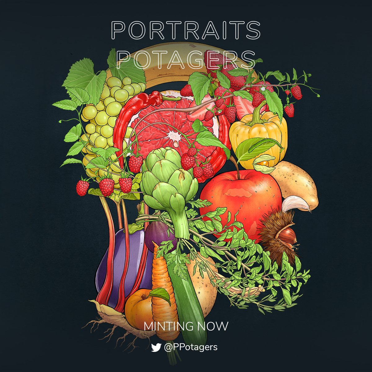 Portraits Potagers ꜩ tweet media
