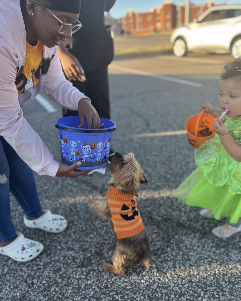 Check out how @lu_naacp and our campus organizations brought Halloween spirits to life at our Trunk or Treat. #lunaacp6753b