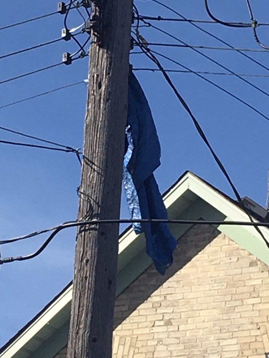 RandyP(IMAWINER🍷🍷) 💉x8 tweet media