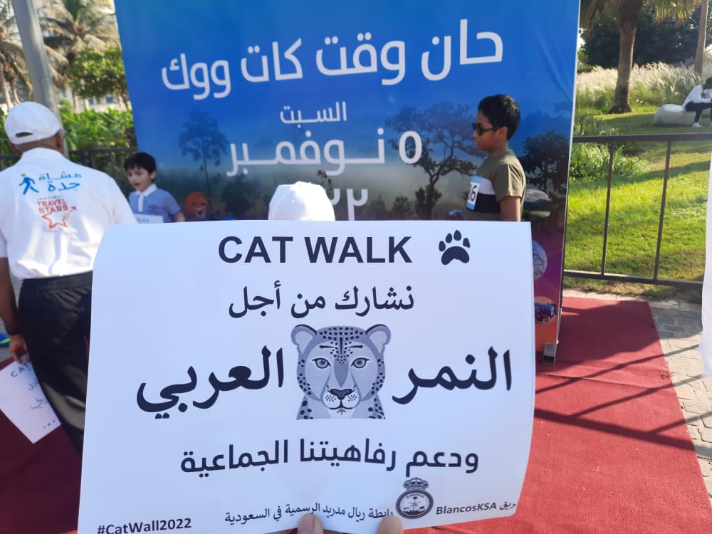 BlancosKsa's tweet photo. مشاركة عضو الرابطة المتألق أ.عبدالرحمن جميل في فعالية النمر العربي @AbodeoRM

@gsaksa
#Cat_walk https://t.co/Adg3U91AjY