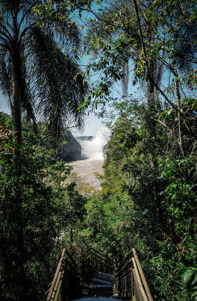 ValtteriBottas's tweet image. Iguazu Falls 🌊

#VB77 #iguazu #argentina