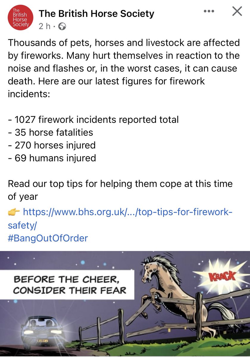SophiexJane's tweet image. Poignant post from @BritishHorse about fireworks