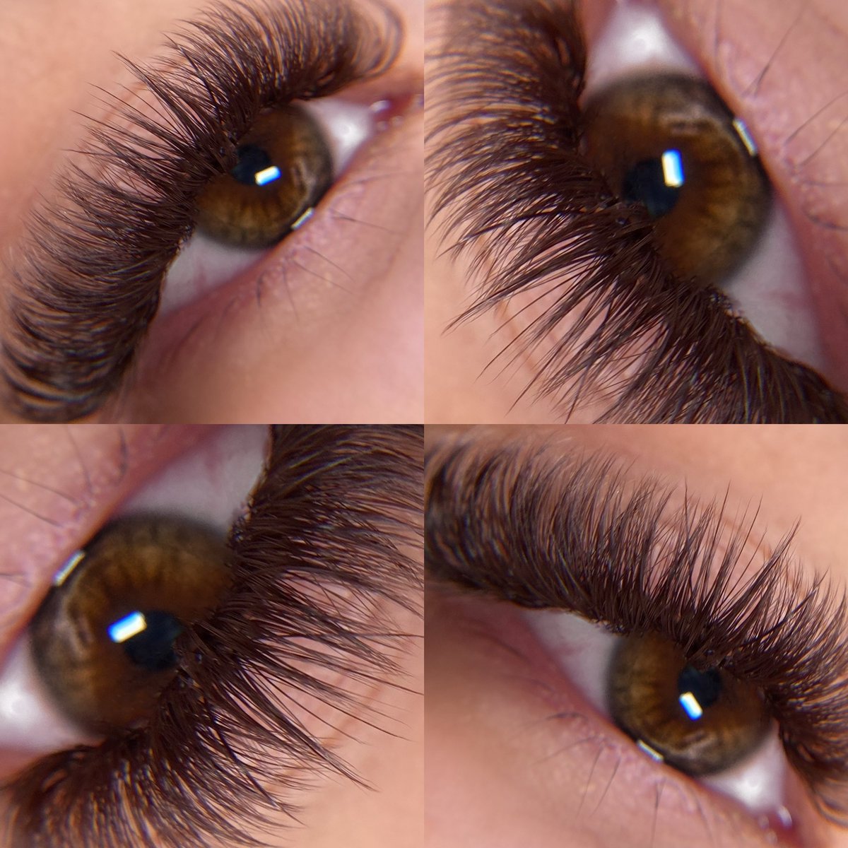BlueDreamLashes's tweet photo. Y’all saw it first! Please Share #darkbrownlashes #èlancolors #lashes #bluedream #lashextensions #lashmapping #lashtech #lash #esthetician #sanantonio #lashtrainer #fyp #lashesfordays #lashboss #explorepage #explore #lashnap #lasheslasheslashes #sanantoniotexas #brownlashes https://t.co/jCBkq7maKl