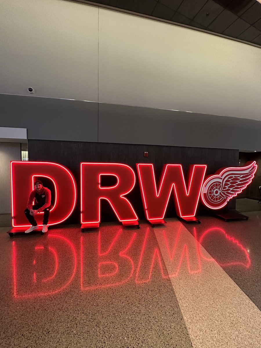 Nic_Ned's tweet photo. Go Wings!! #LGRW https://t.co/NaXuRMWrtS
