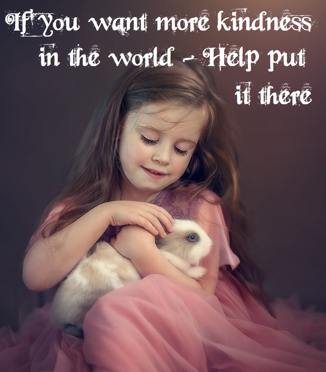 paula-rose-misspaularose4-twitter