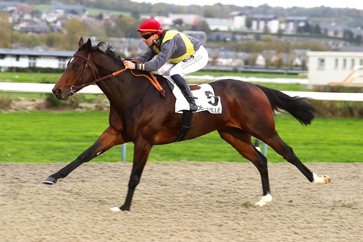 pasquito60's tweet photo. [8️⃣5️⃣🥇]  
 @fgdeauville 
🐎 SIAM PARAGON 
👤 G. Doleuze
🎩 Mme C. Stephenson 
Prix de Fergand- A. Cond. - 1300m - PSF
💥💥💥
Merci à @SandraBiloe, notre partenaire, pour son soutien💎
#galop #winner 🏆 #jockey #passionjob ❤️ 
📸 Scoopdyga https://t.co/4URwpjrRjo