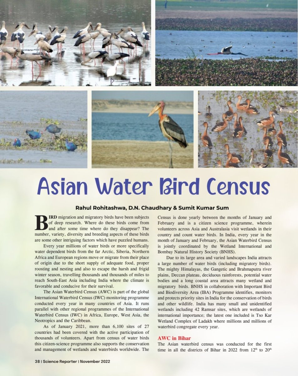 sumitksum's tweet image. An article on Asian Waterbird Census 2022, Bihar, co-authored by me has been published in the latest edition of #ScienceReporter

#IndiAves @IndiAves #birds #birdwatching #BirdTwitter #CitizenScience