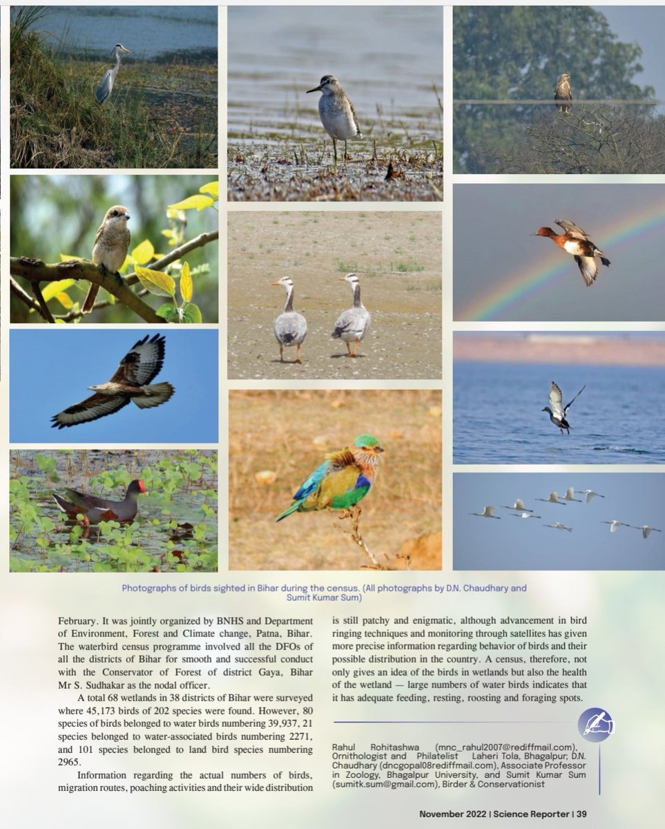 sumitksum's tweet image. An article on Asian Waterbird Census 2022, Bihar, co-authored by me has been published in the latest edition of #ScienceReporter

#IndiAves @IndiAves #birds #birdwatching #BirdTwitter #CitizenScience