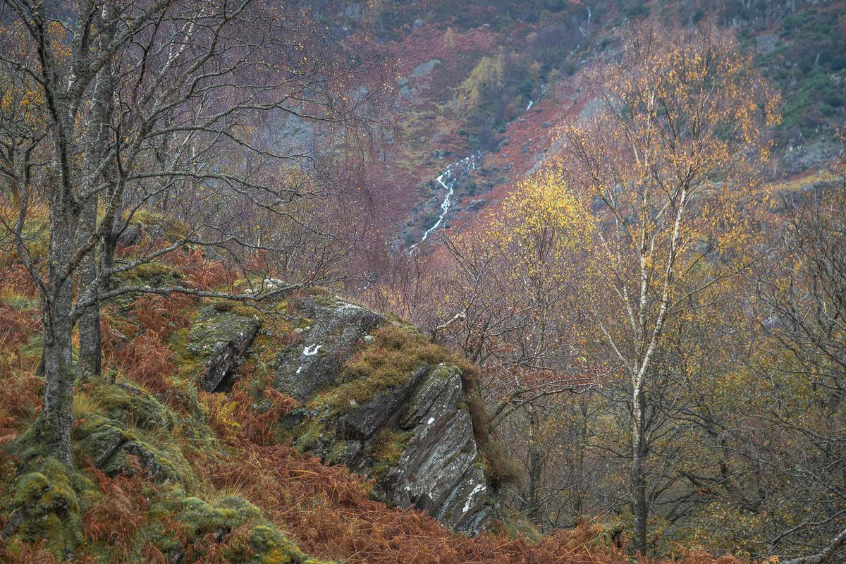 andrewswalks's tweet photo. Mystical conditions in Borrowdale after rain for most of today #Cumbria https://t.co/cFhjQc7NvX