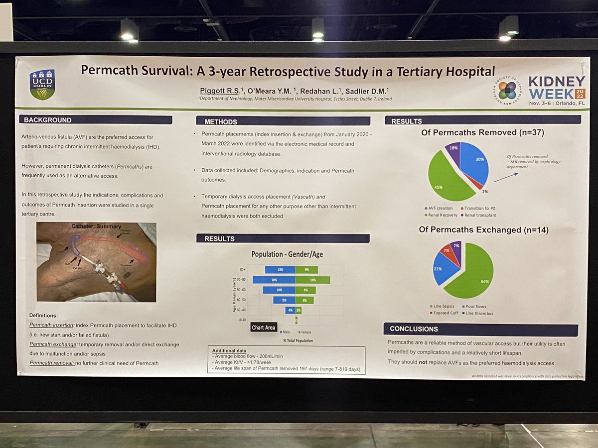 Sinead Stoneman tweet media