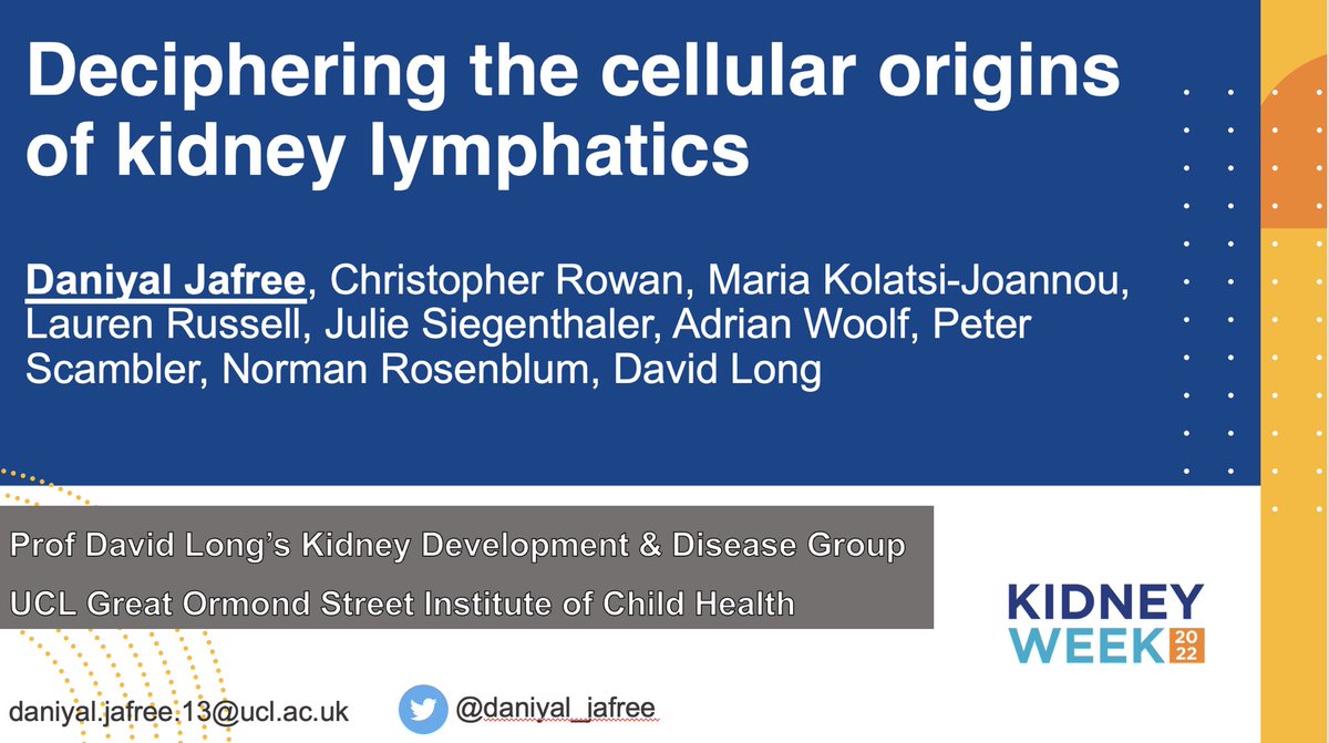If you’re at <a href="/ASNKidney/">American Society of Nephrology</a> #KidneyWk and hang around till the last talk of the Genetics, Development &amp; Therapies session starting at 4:30 in W308, I’ll share our unpublished results tracing kidney #lymphatics back to their (unexpected) developmental origins.