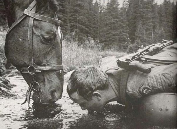 "Пијте воду са извора где коњи пију. Коњ никада неће пити лошу воду. Положите кревет где мачка спава. Једите воће које је црв дотакао. Храбро берите печурку на којој седе инсекти. Засадите дрво где кртица копа Сагради своју кућу где змија седи да се греје