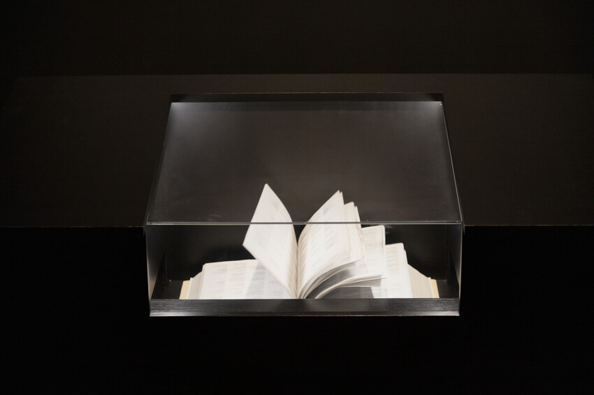 New Laurie Anderson just dropped.

Works from the multimedia artist’s recent Hirshhorn Museum retrospective are now on view, including Sidewalk, a mesmerizing video projection that covers part of the gallery floor, and Scroll, an AI-generated bible. Visit: massmoca.org/visit/