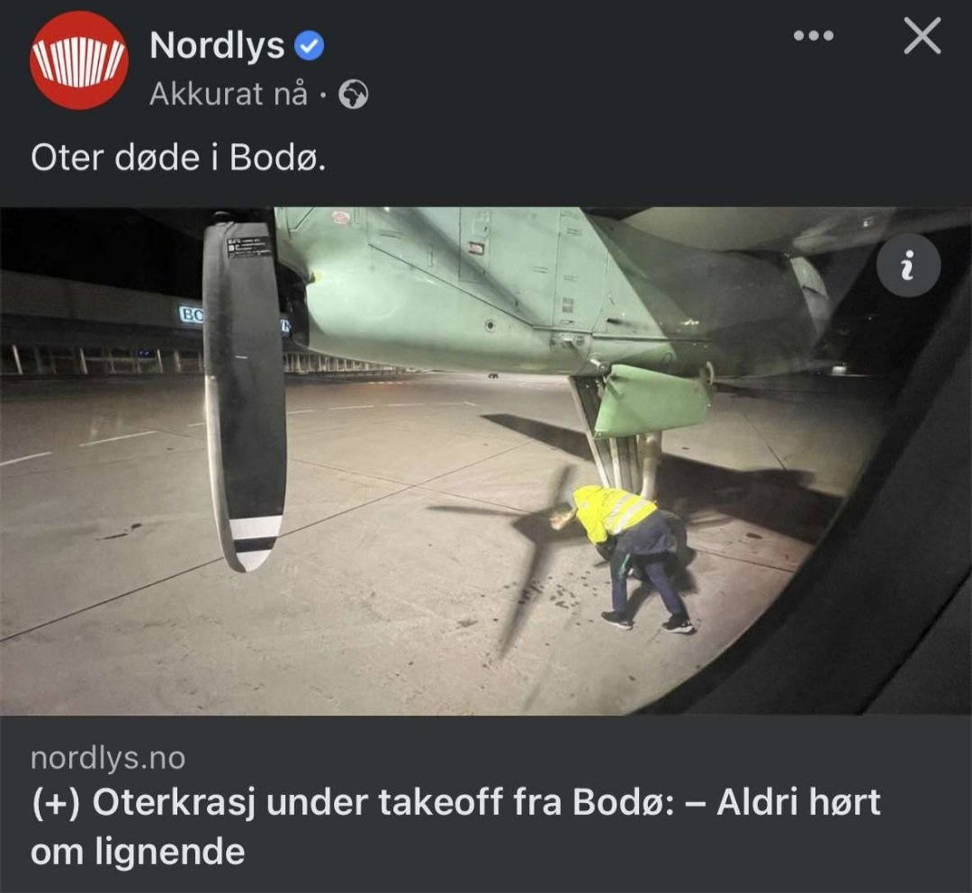 YOUNG HOEL tweet media