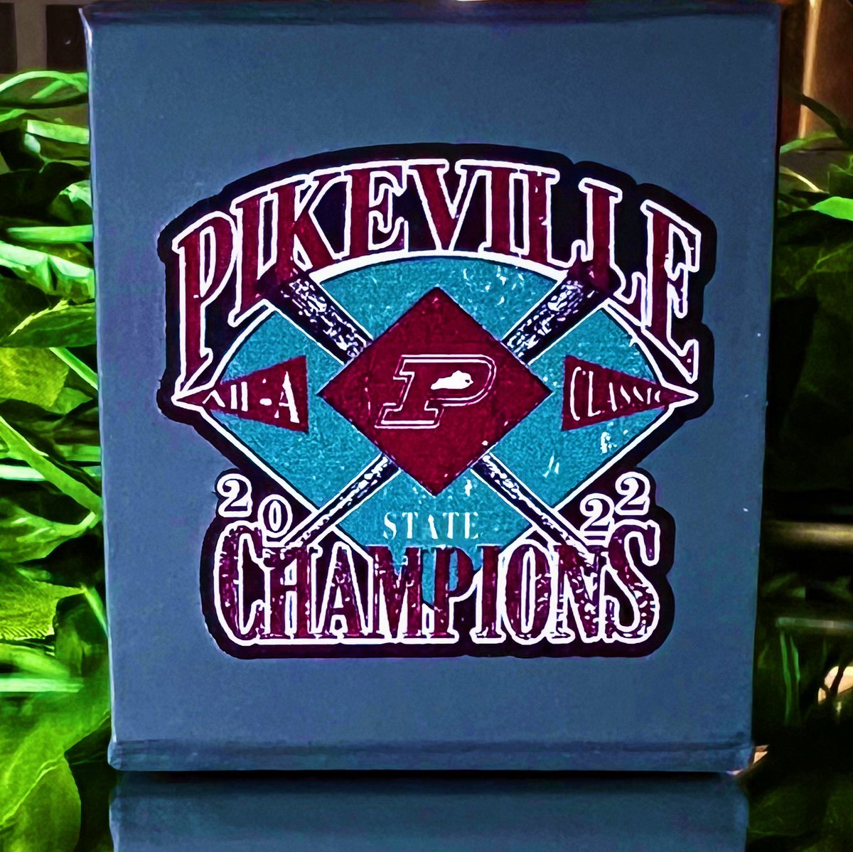 PikevilleHSBSB's tweet photo. Coming Soon. 

#TOGETHER 💍 https://t.co/RQiBt2A3mF