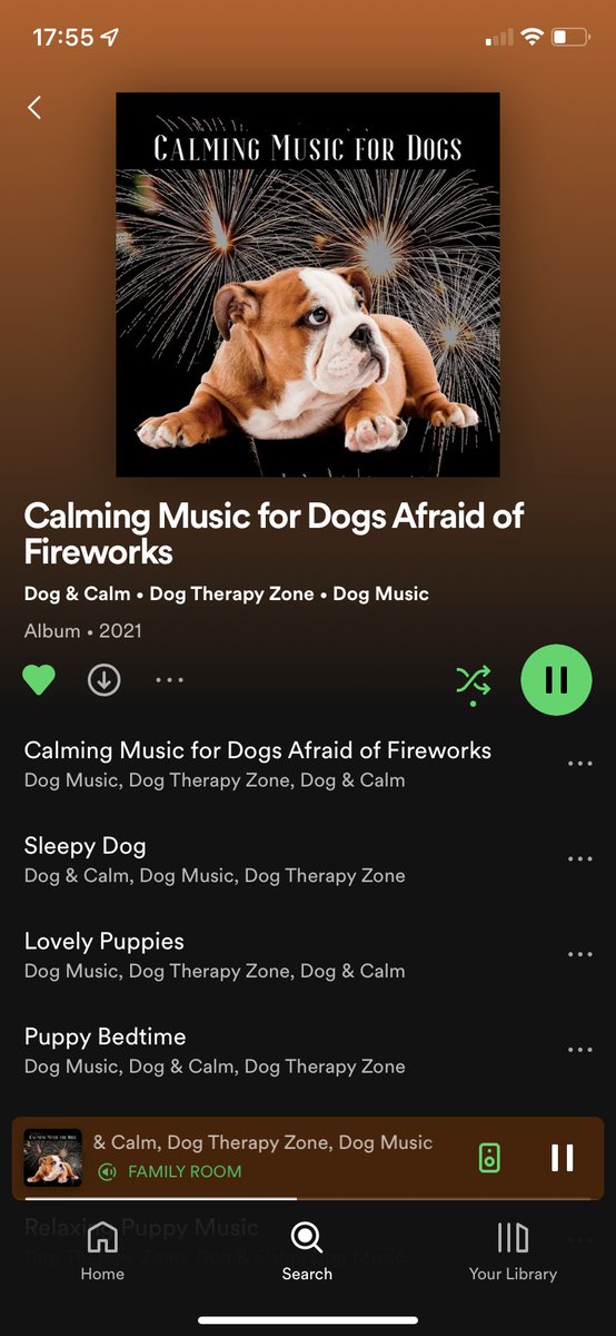 Playlist for the evening - 1 dog not bothered at all, but the other (normally much calmer) hyperventilating and limping around in circles on her arthritic joints 😞 Luckily much calmer with shutters closed and music on ❤️‍🩹 good luck to those working shelters and wildlife rescues!