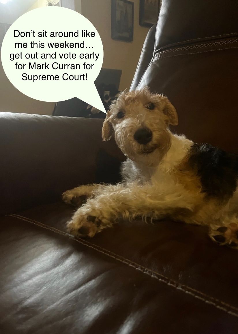 “Ruff” weather out there today, but Guinness Curran is offering some advice ahead of the Tuesday midterm elections….