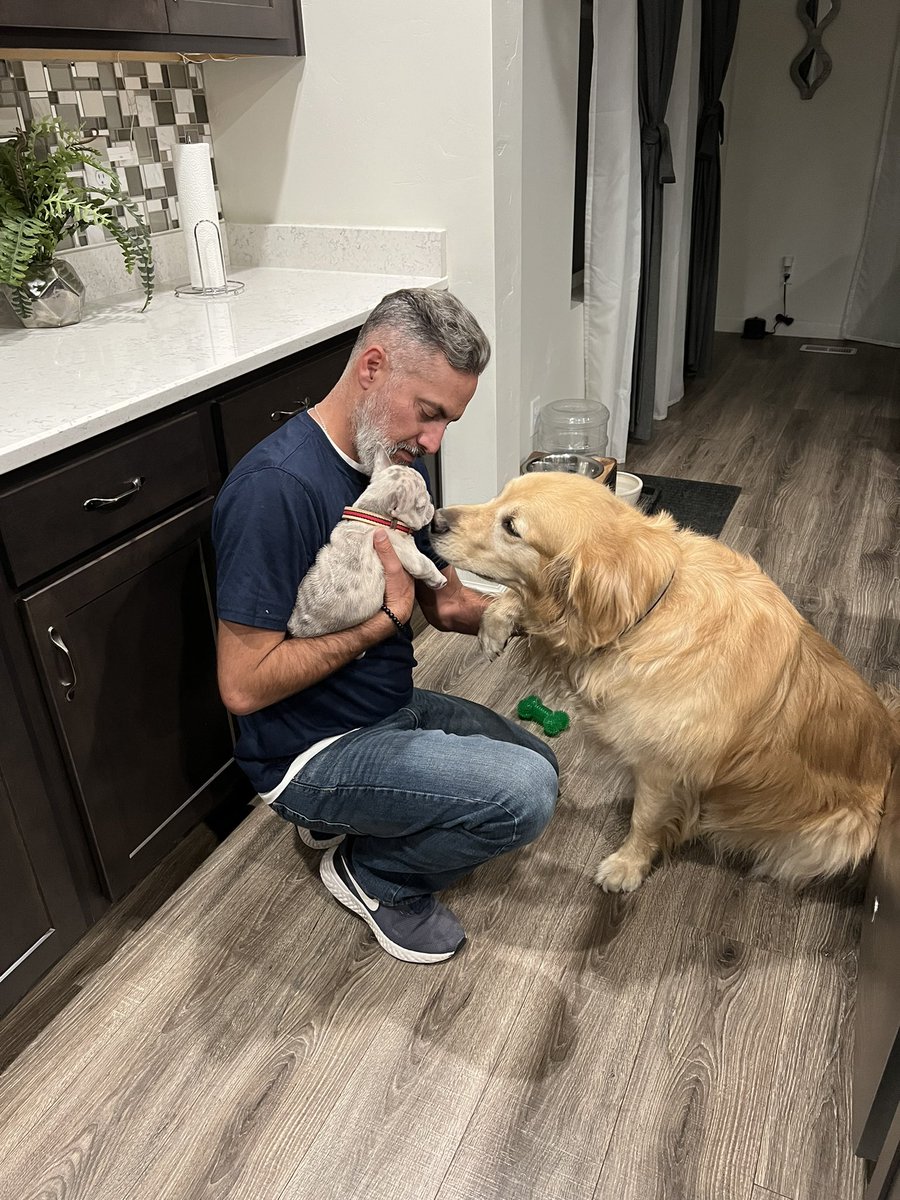 JessicaStipano1's tweet photo. @KurtisKinthe801 @RyanStipUTES I can’t with all this cuteness 😩. Zayd can join in all the fun as well, it’ll be a doggo party 🎉 https://t.co/I3WwVmtvqy