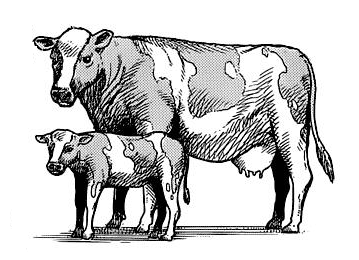 Morgan tweet media