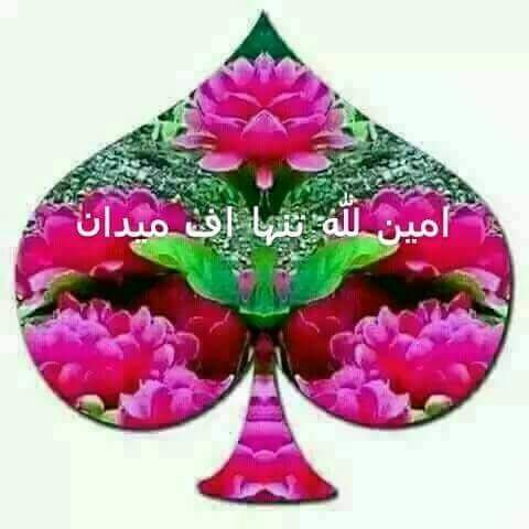 اسعد الله اوقاتكم بالخير