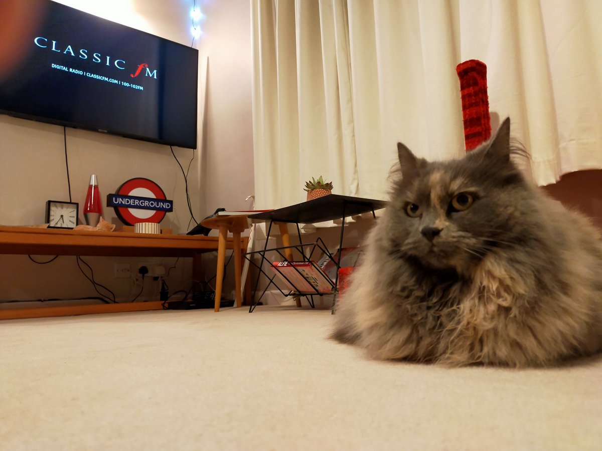 samantha elmhirst tweet media