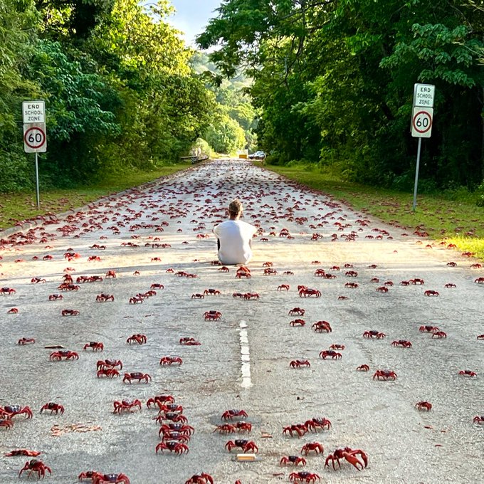 Watch Australia's leaked NSFW photo on TwXstars