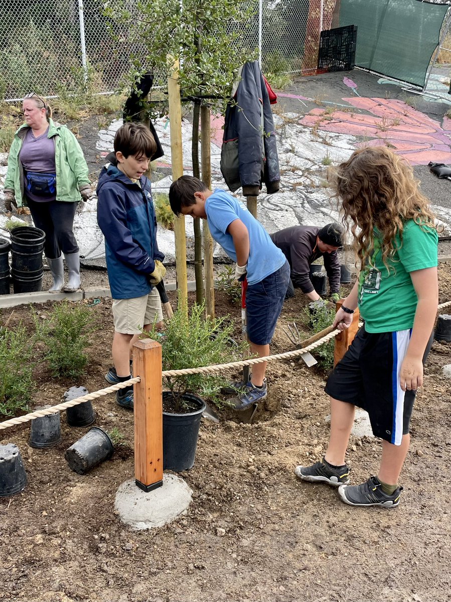 G_InTheCity's tweet photo. Great turnout &amp; perfect drizzly day for Tree 🌳 planting 🙏 to all the students and parents helping us transform Melrose Elementary in Oakland into a #GreenSchoolyard https://t.co/7EoNME7FR0